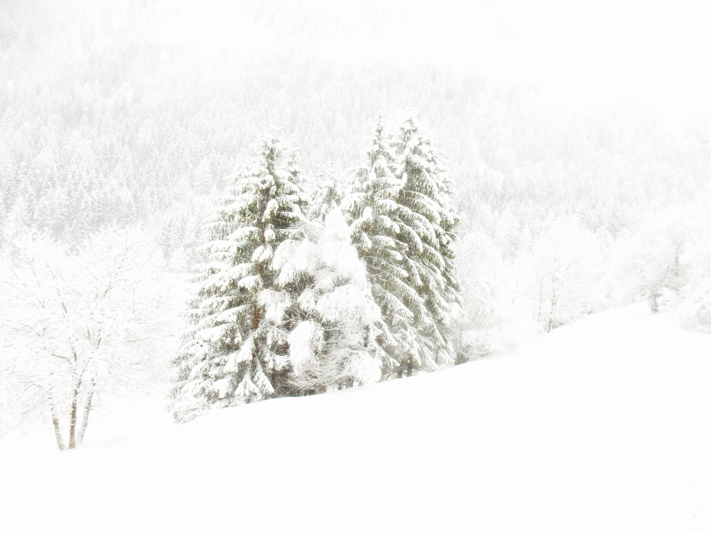nevica