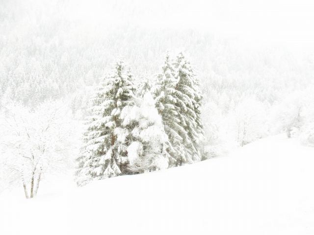 nevica