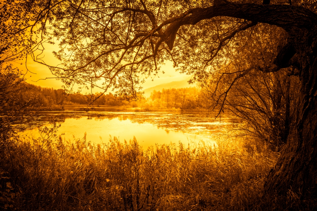 Lago ed esplosione di colore
