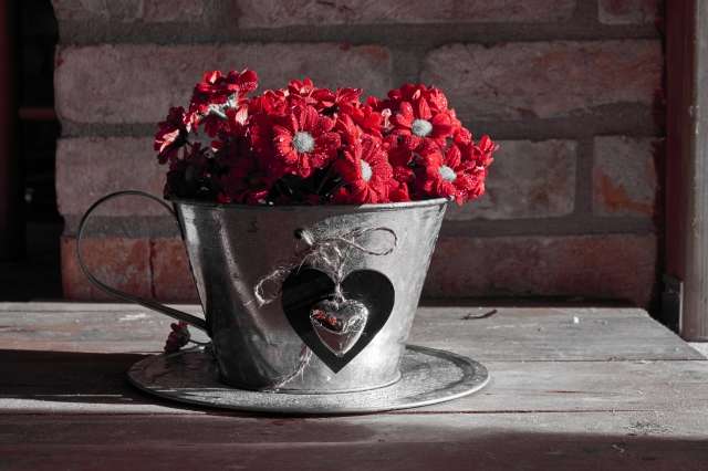 Una tazza di fiori rossi