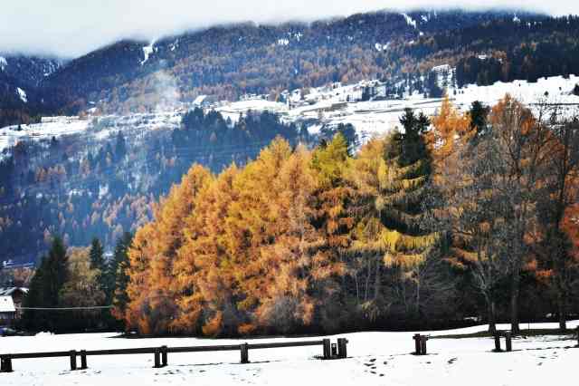 Snow · cfrancesco90