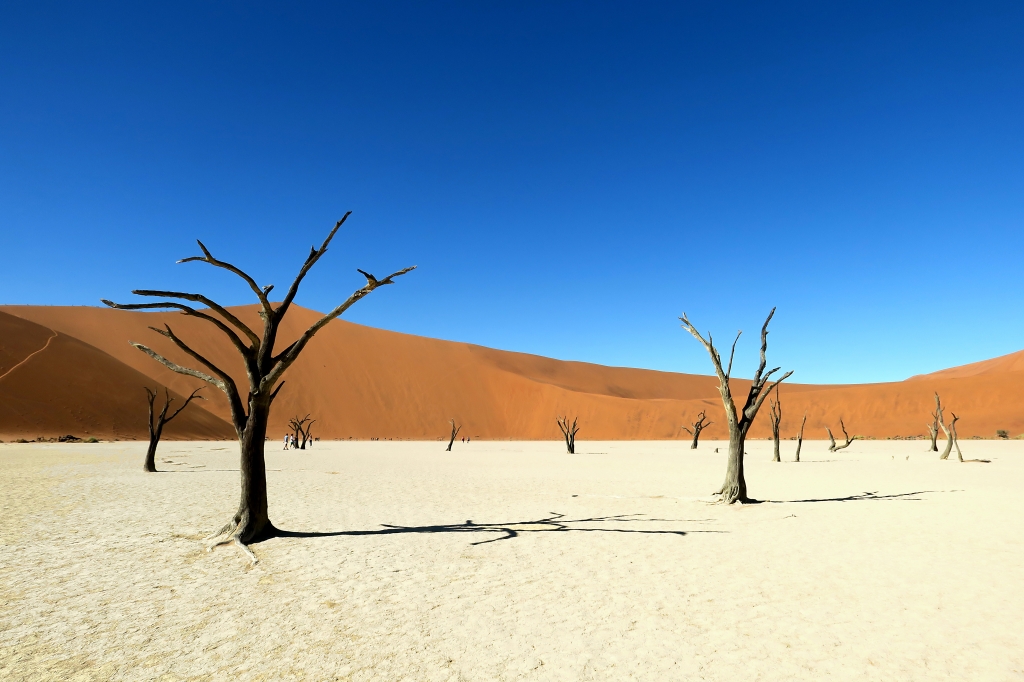 namib desert, dead vlei