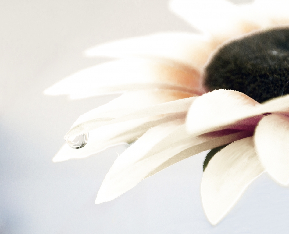 Bianco Girasole