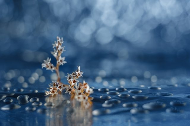 Stars and bokeh and drops...
