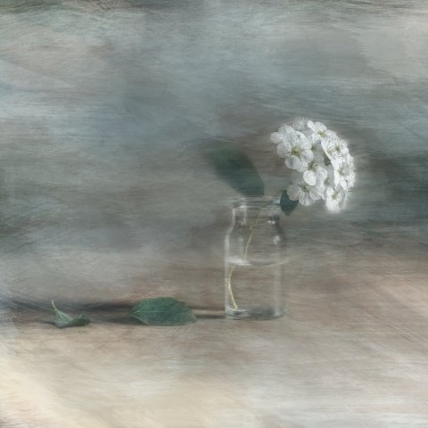 Spirea in a vial fantasy