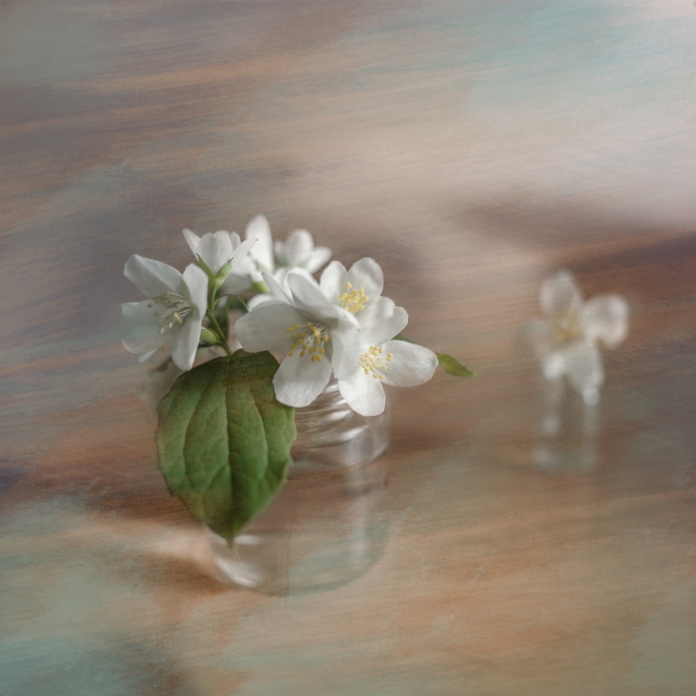 Apple flowers in a jar fantasy