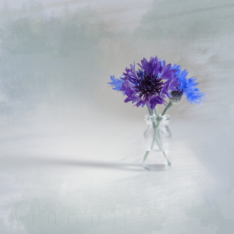 Cornflowers in a vial Minimalism fantasy
