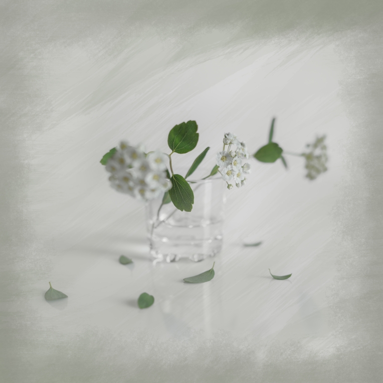 Spirea in a glass