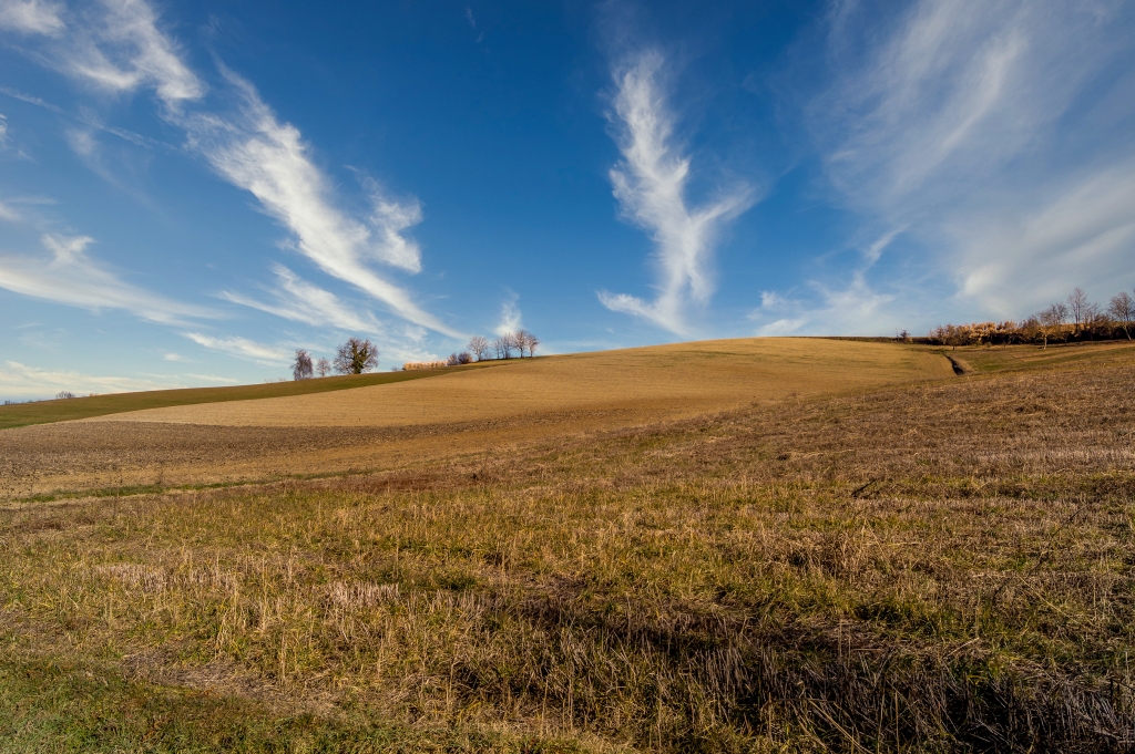 Collina di Torino con distesa d'erba e cielo blu con nuvole