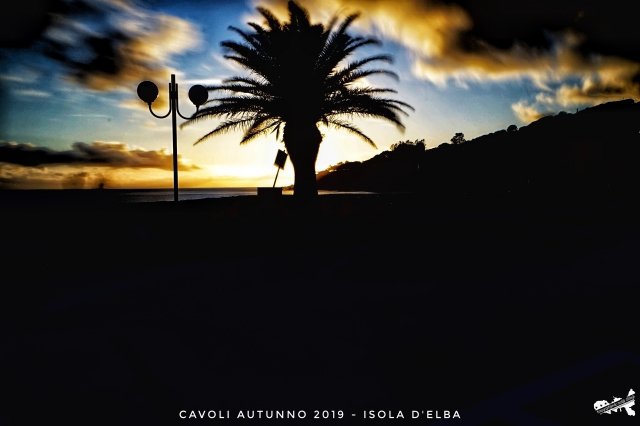 Cielo, flora ed esseri umani