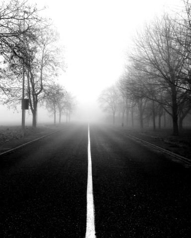 Foggy day