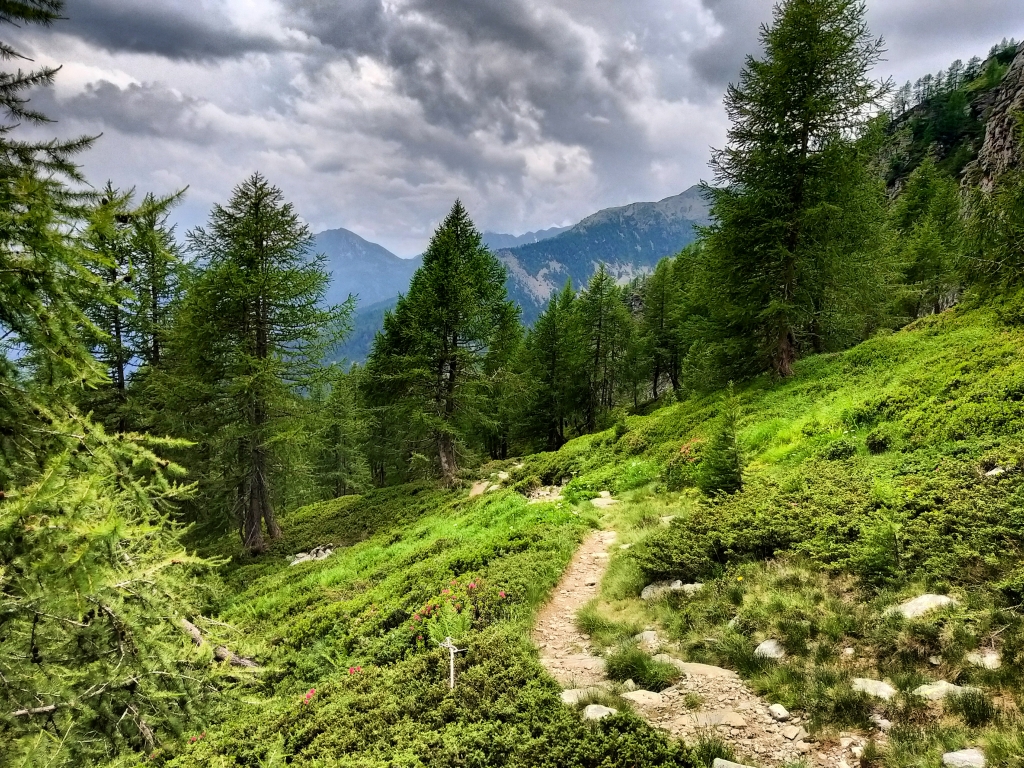 Camminare nel verde