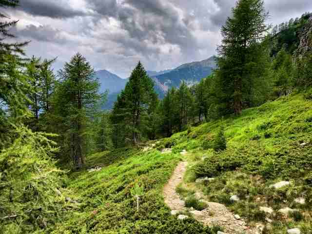 Camminare nel verde