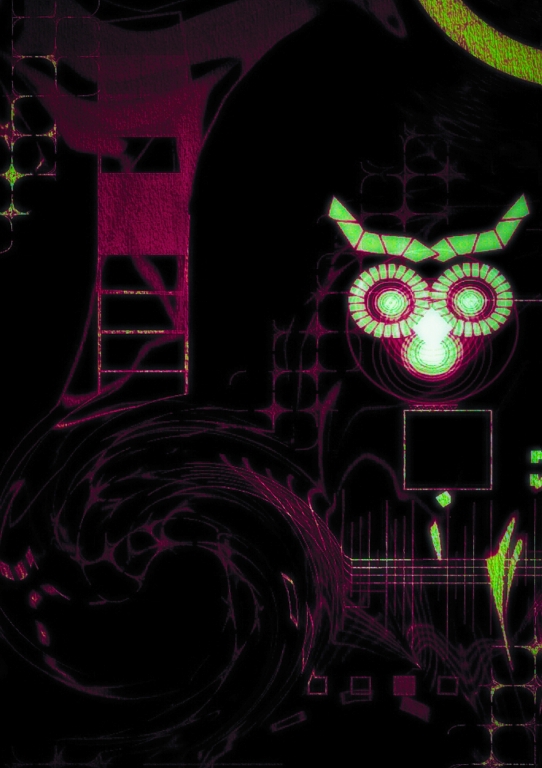 Owls