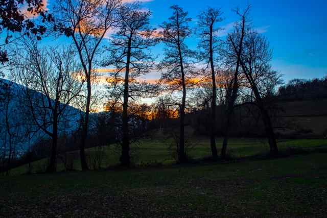 Alberi in primo piano con montagne al tramonto sullo sfondo
