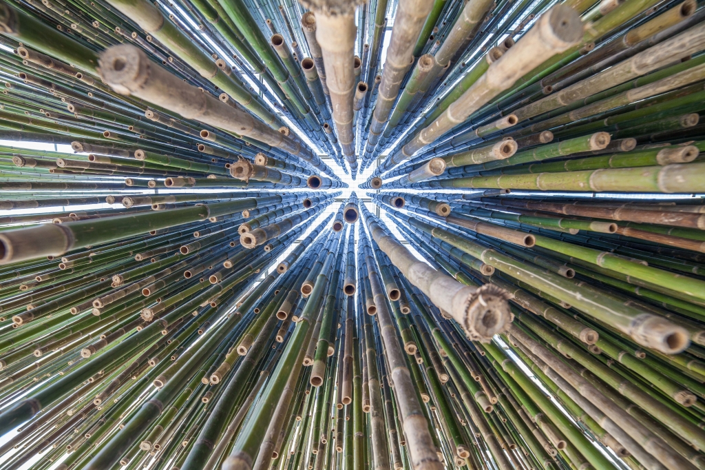 Bamboo - Arte contemporanea ad EXPO 2015