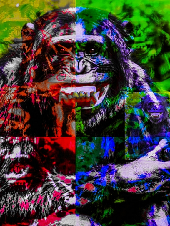 The origins
