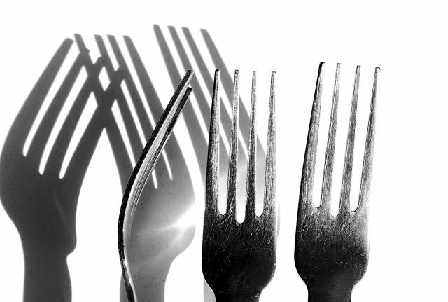 Forks · alococofoto