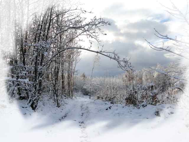 Neige, paysage enneigé