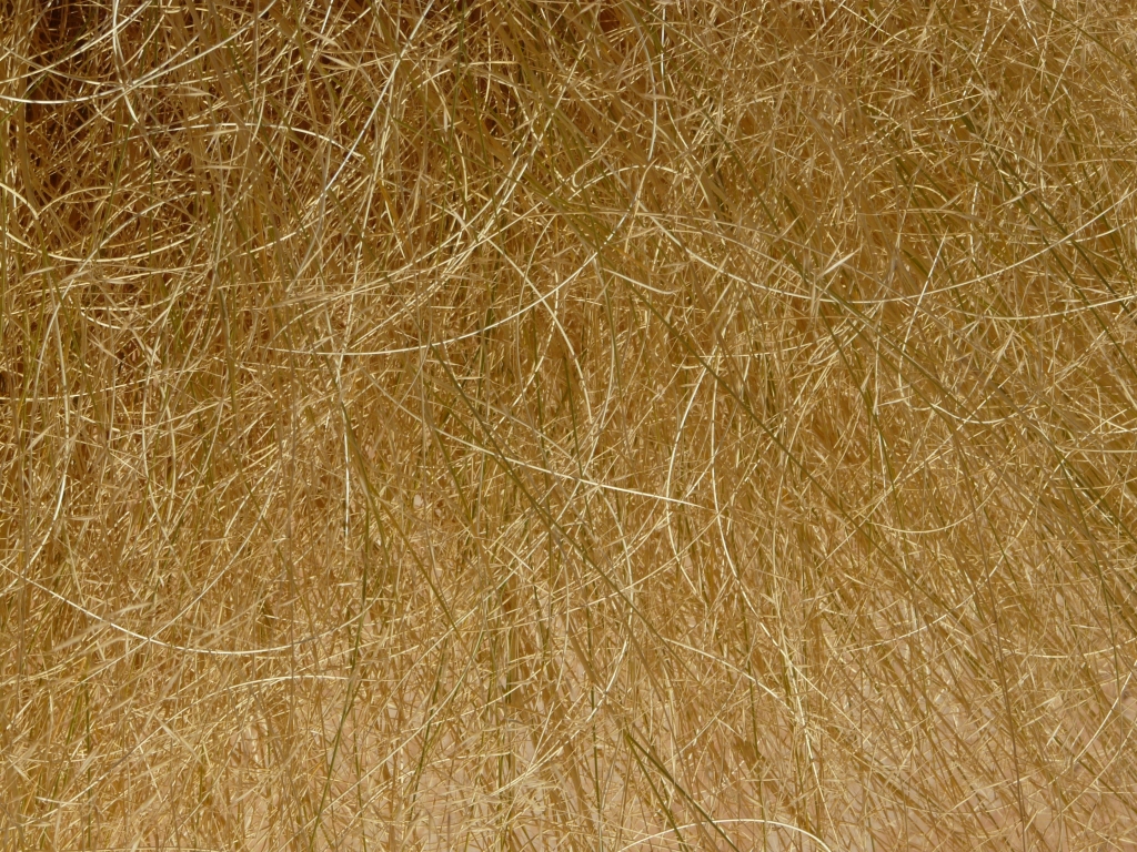 No, non è un Pollock
