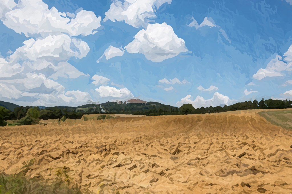 Colline e campi della Maremma