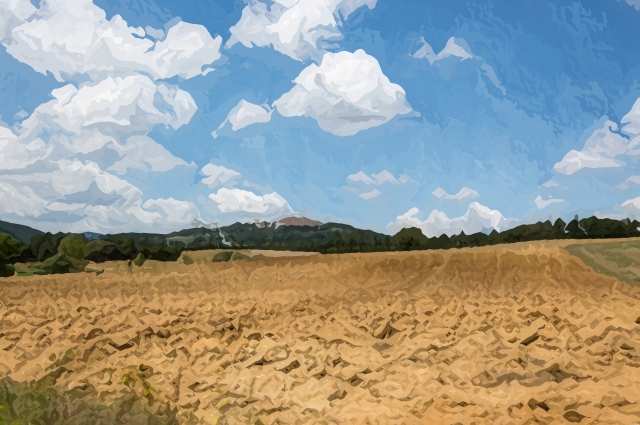 Colline e campi della Maremma