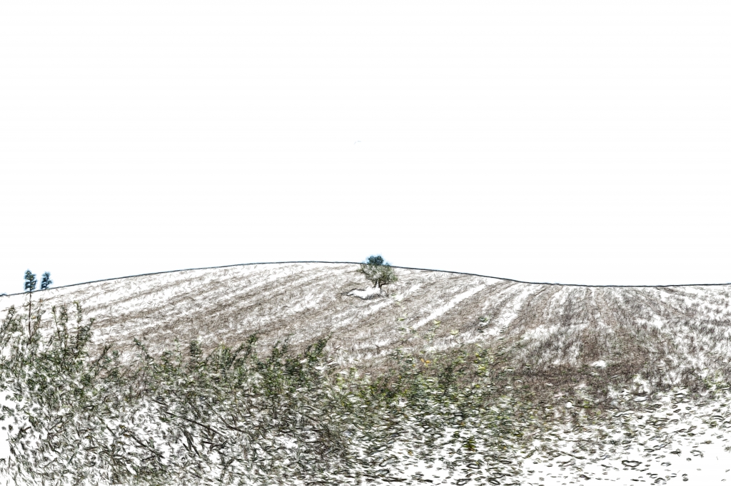 Colline e campi della Maremma