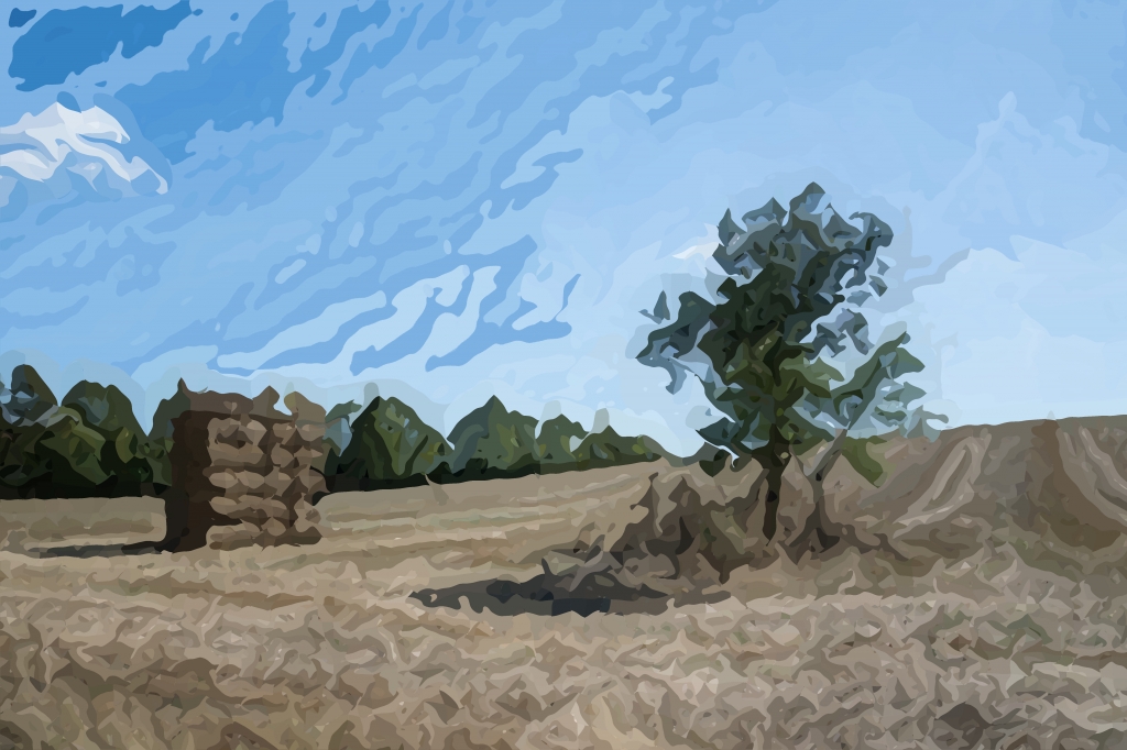 Colline e campi della Maremma