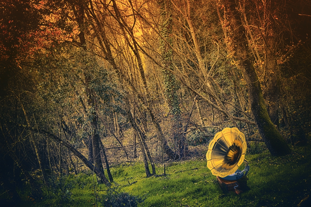 ECHO OF THE FOREST