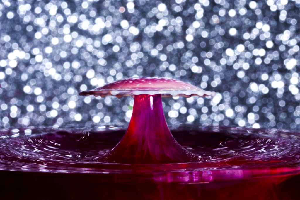 Water Drop Art 5