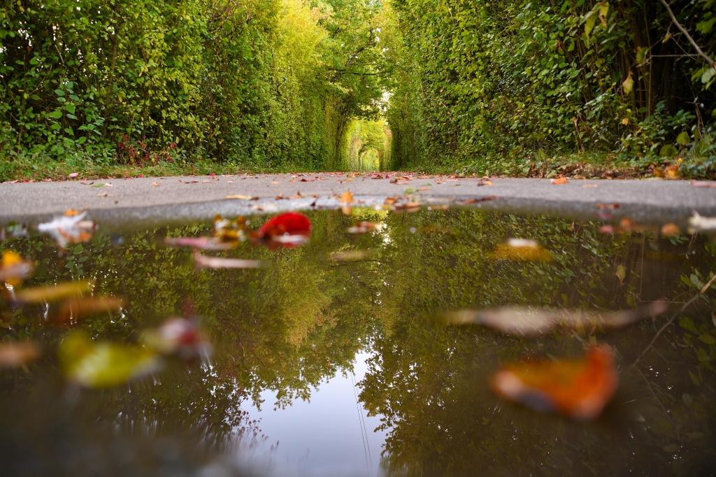 Vialetto d'autunno