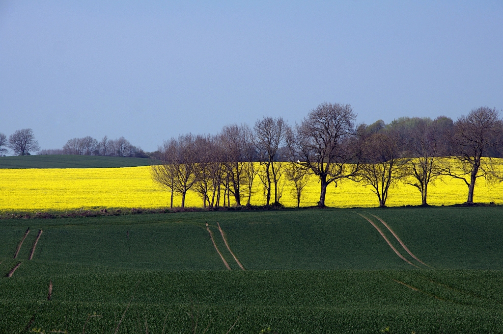 Paesaggio Baltico