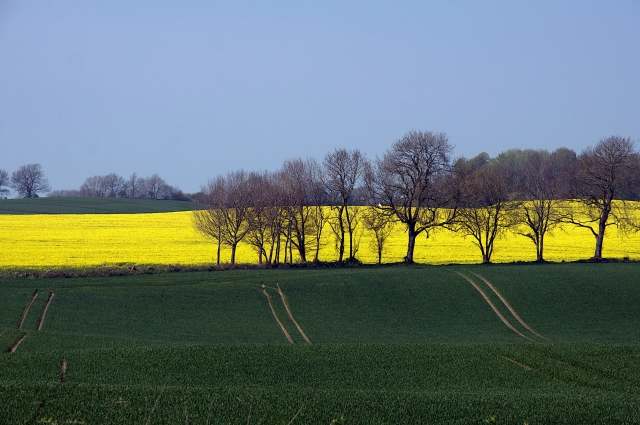 Paesaggio Baltico
