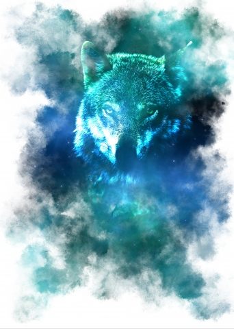 Stellar Wolf