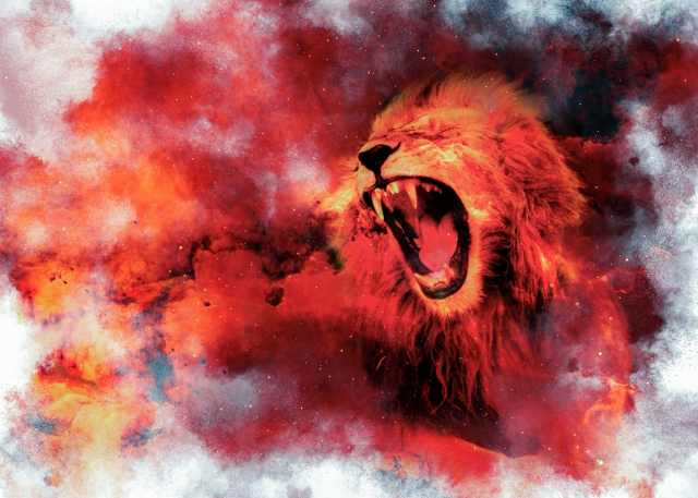 Stellar Tiger