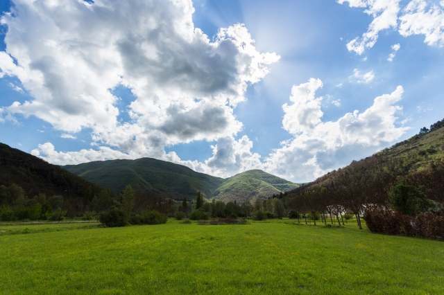 La campagna di Orpiano - Italia