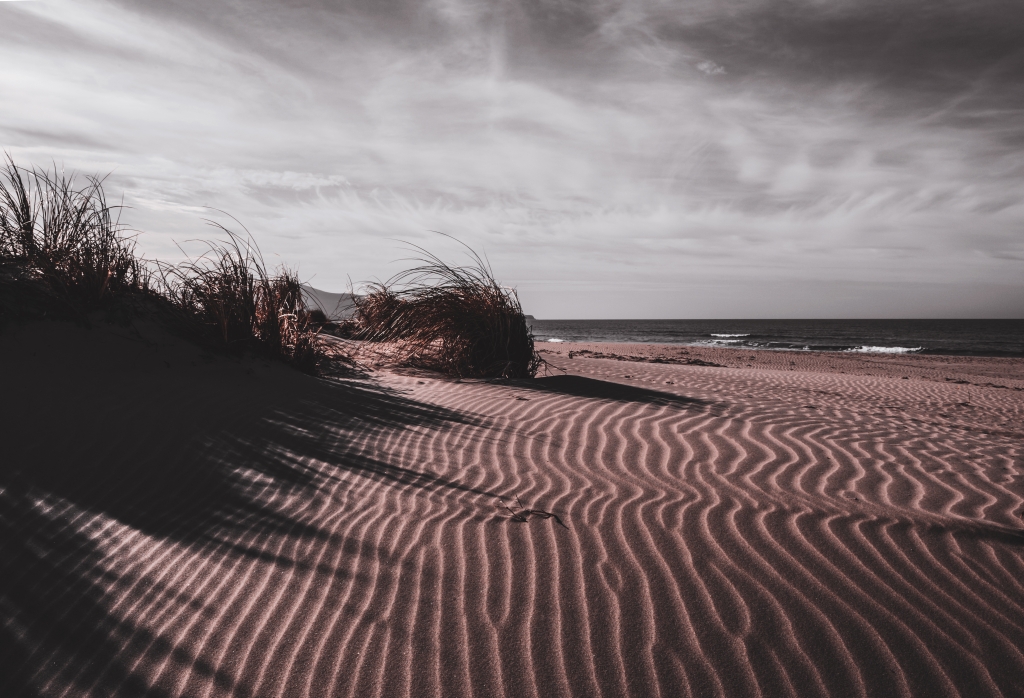 Dune di sabbia in inverno