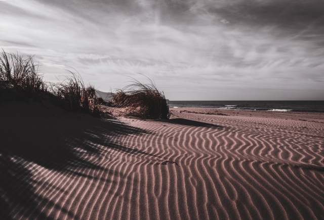 Dune di sabbia in inverno