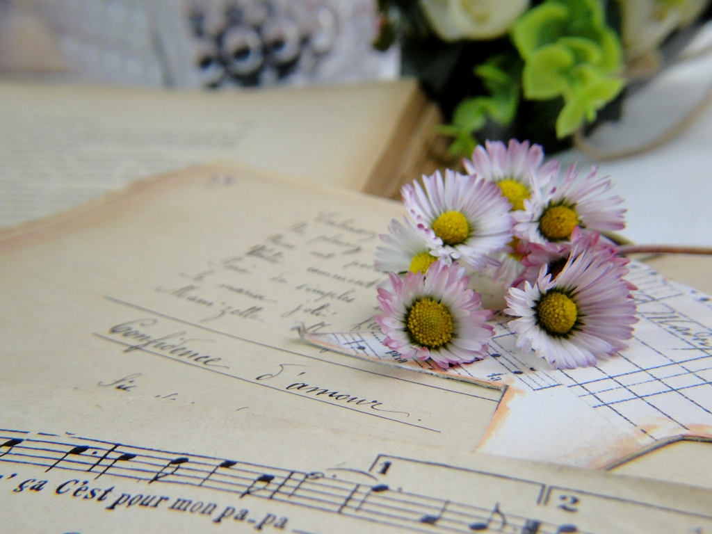 Papers Le margherite adorano le note musicali di papà fiore