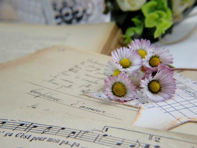 Papers Le margherite adorano le note musicali di papà fiore