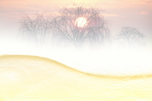 Alba sulla savana · silbongia