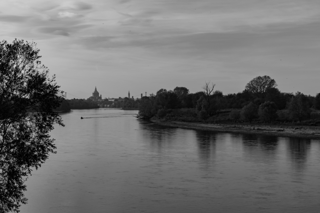Pavia dal Ticino