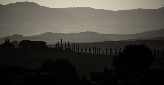 Sunshine in Tuscany