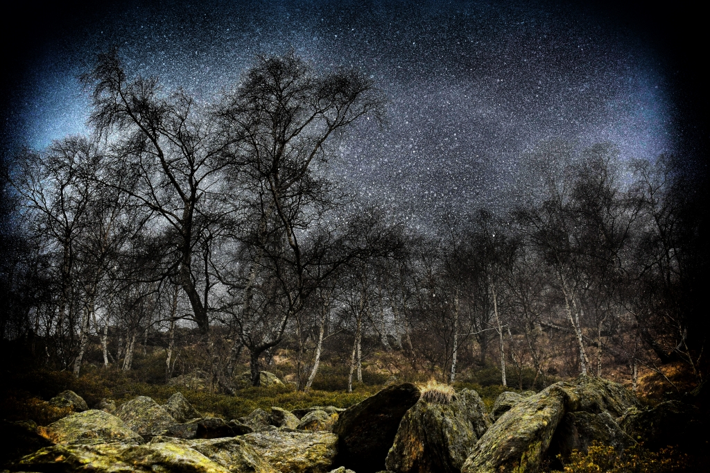 Paesaggio notturno