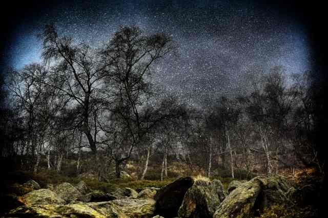 Paesaggio notturno · silbongia