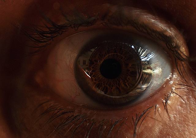 eye