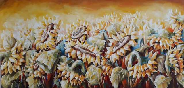 Girasoli grande dipinto  del m.tro pasquale COLLE