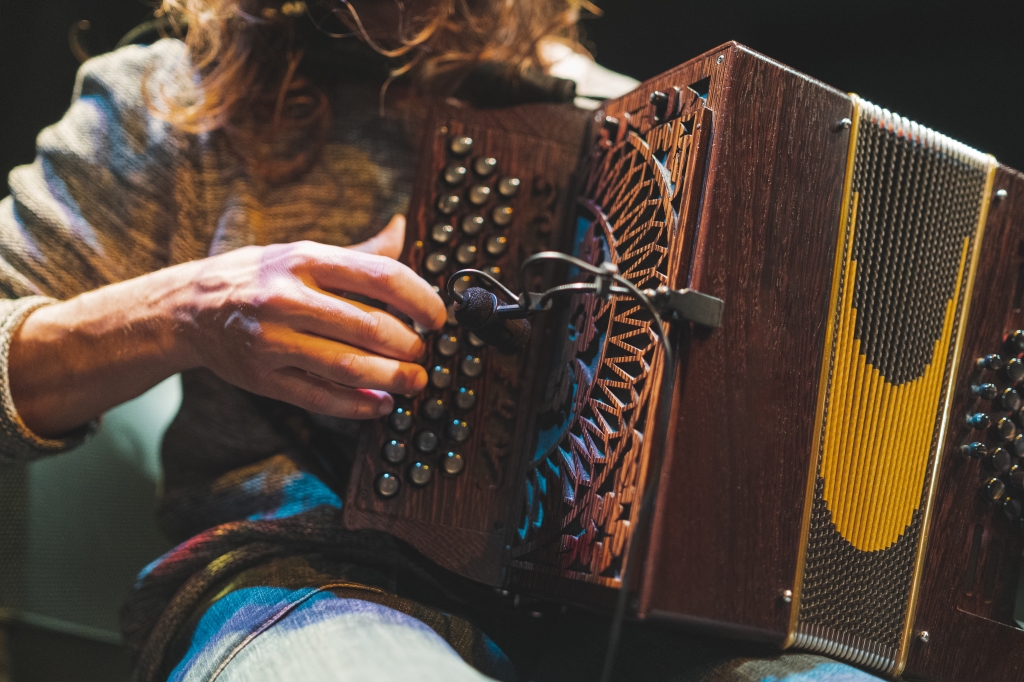 Il suonatore di fisarmonica