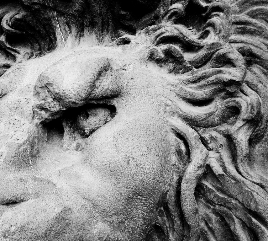 Occhio di Leone