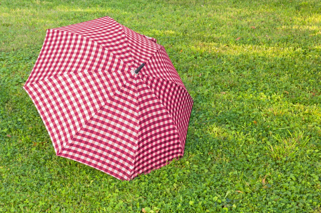 L'ombrello sul prato